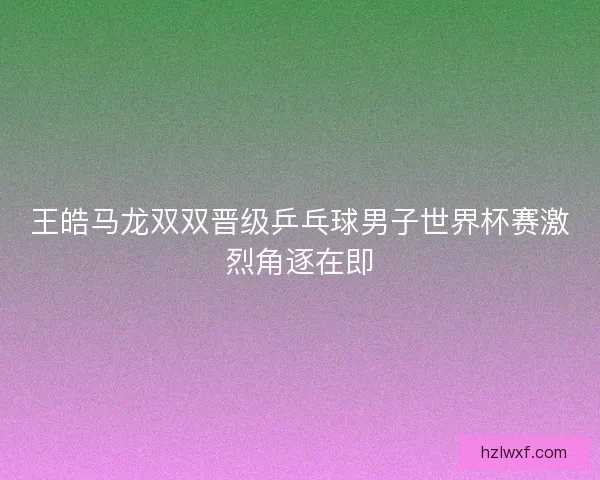 王皓马龙双双晋级乒乓球男子世界杯赛激烈角逐在即